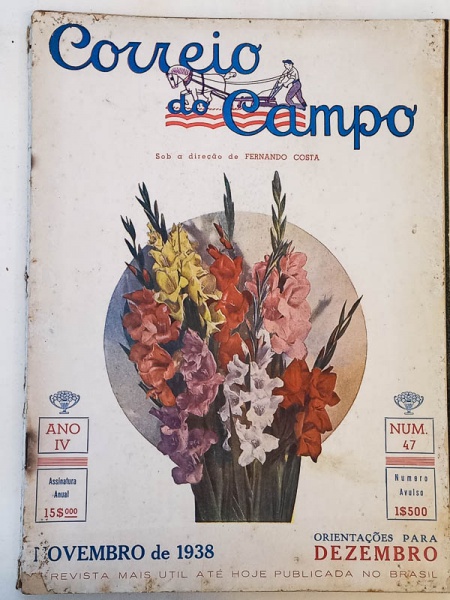 Arte . Revista da Semana - 1931 - Anno XXXII, N. 49 - 1a. ed. foto 7
