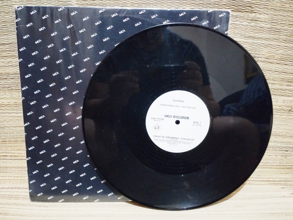 Joias . DISCO DE VINIL - LP The Exploited - Punks Not Dead - An foto 8