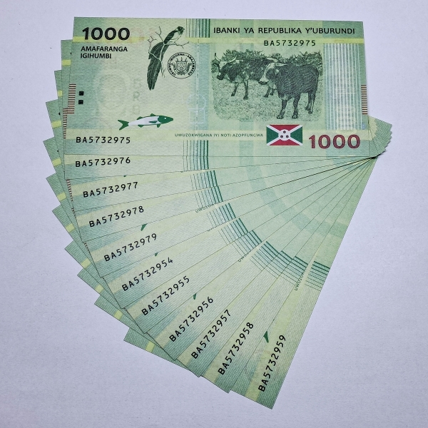 Cédula do Burundi - 1000 Francs - 2015 - 11 Cédulas - P51 - FE