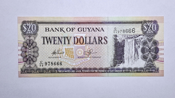 Cédula da Guiana - 20 Dolares - 1989 - assinatura 14 - P30e - FE