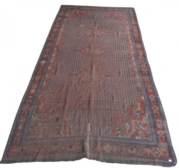 Tapete Shiraz. Rapé 3,23 x 1,74 = 5,62 m²