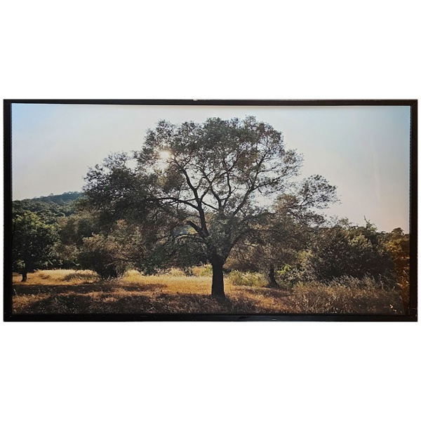 ROMULO FIALDINI. Oliveira Grécia - fotografia numerada - 217 x 145 cm.