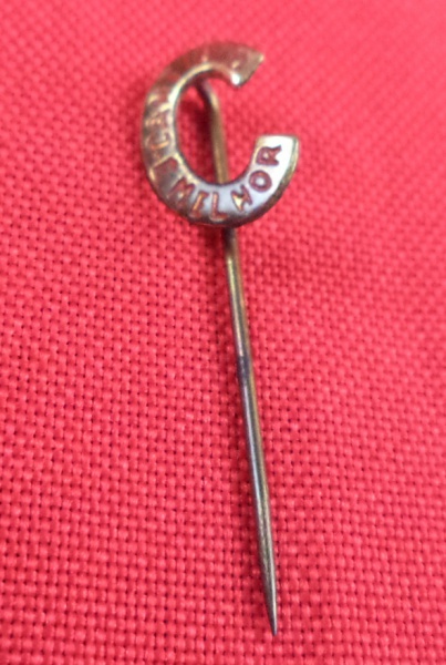 Arte . Alfinete de lapela (ou pin/broche) de campanha política foto 2