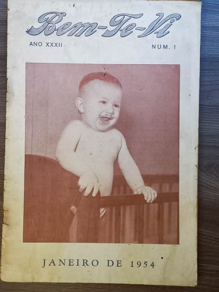 Arte . Revista Escolar - São Paulo 1927 - Anno III, N. 28 - Bo foto 6