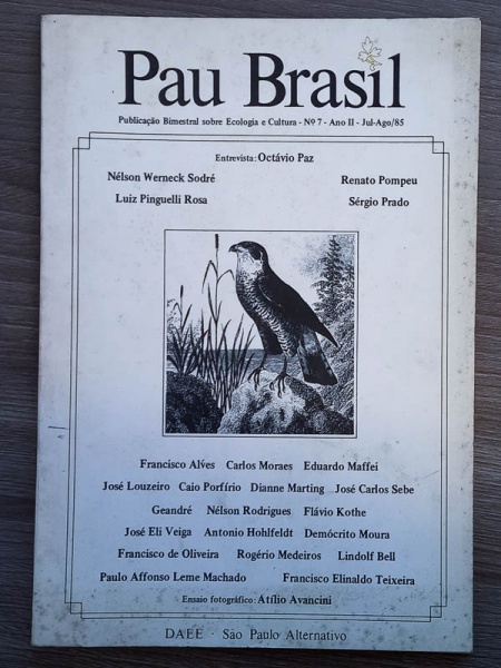 Arte . Arara - São Paulo 1905 - Anno I, N. 33 - bom exemplar, foto 5