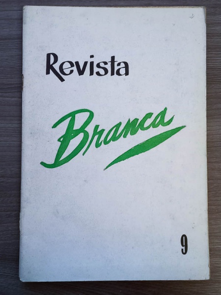 Arte . Illustração Brasileira - 1925 - Anno VI, N. 61 - bom ex foto 4