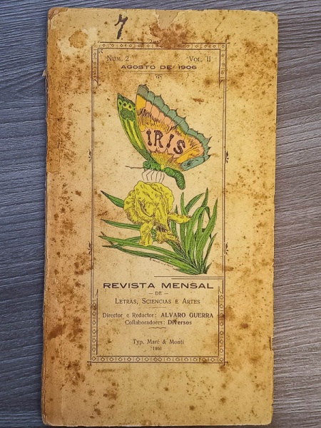 Arte . Illustração Brasileira - 1925 - Anno VI, N. 61 - bom ex foto 6