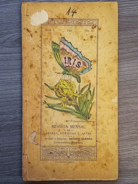 Arte . Illustração Brasileira - 1925 - Anno VI, N. 61 - bom ex foto 7