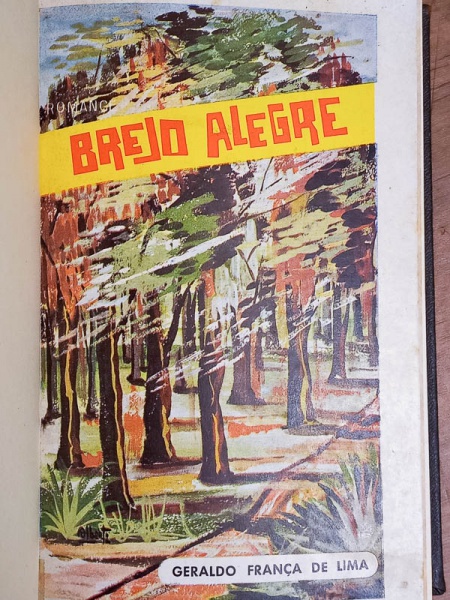 Arte . Aloysio de Castro - Excertos - Rio de Janeiro 1930 - 1a foto 5