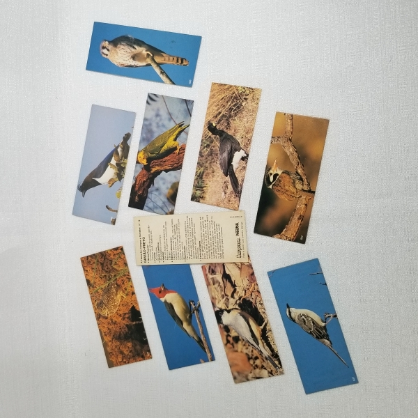 Nestlé Surpresa - A Fauna dos Campos e Cerrados. Caso as informações descritas neste lote não sejam suficientes para sanar suas dúvidas, mande um WhatsApp para (11) 91264-3806 ou envie um e-mail para