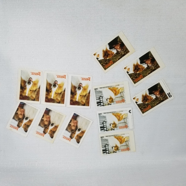 Adesivos paramount Lassie. Caso as informações descritas neste lote não sejam suficientes para sanar suas dúvidas, mande um WhatsApp para (11) 91264-3806 ou envie um e-mail para contato@retroversoleil