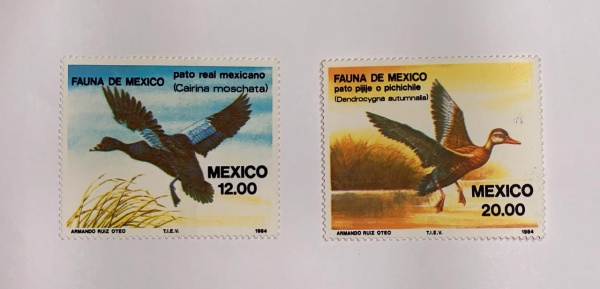 México - fauna - num 1041/42 - novos - mint NH