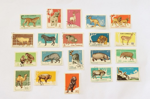 Cuba - fauna - num 768/85 - usados