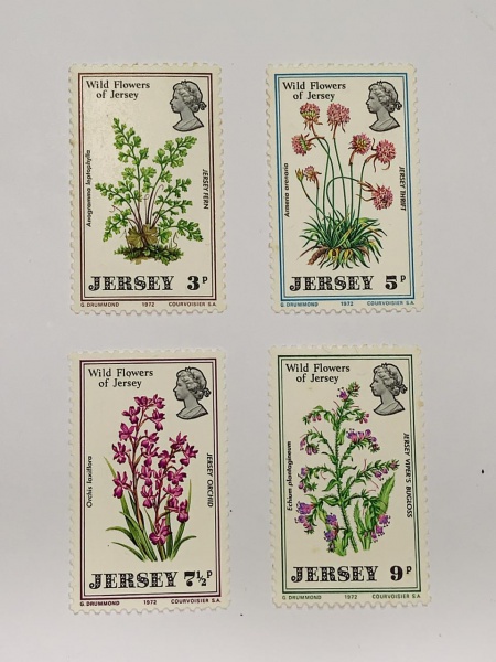 Jersey - num 55/8 - novos - com marca de charneira - leves pontos de óxido