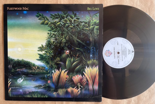 LP/ Single Artista: Fleetwood Mac / Album: Big Love | Selo: WEA | Cód: 920 673-0 - Prensagem FrançaCapa (VG): Muito Bom: marcas superficiais, com detalhes visuais; pode conter leve rasura como um nome