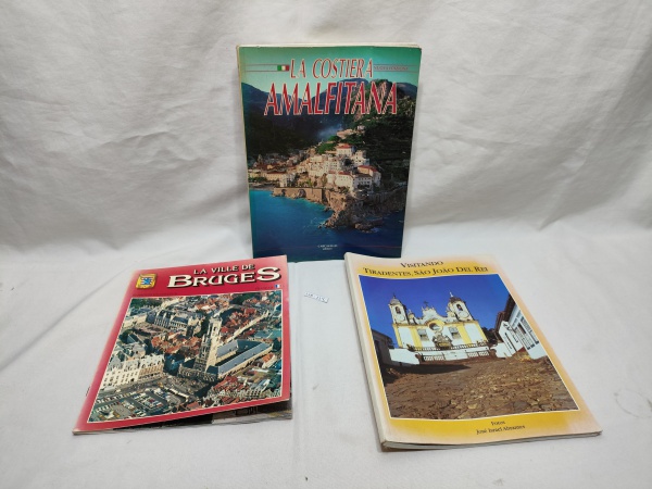 Lote de 3 livros guias turísticos.
