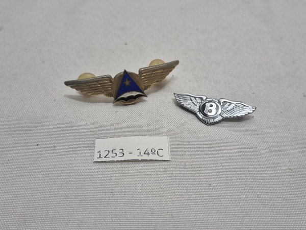 Par de distintivos metálicos com asas. Um em metal dourado e esmalte azul, representando a antiga companhia aérea brasileira Cruzeiro do Sul; o outro em metal prateado, com o logotipo alado da marca a