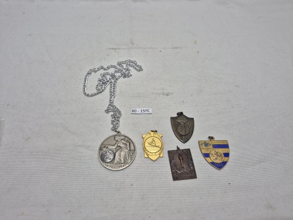 Conjunto de medalhas e insígnias esportivas diversas, incluindo medalha comemorativa olímpica com corrente, pingentes de modalidades como natação e remo, e brasão esmaltado de campeão datado de 1956.