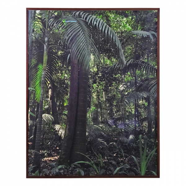 Lote 45A TUCA REINES. Paisagem tropical - fotografia - 115 x 145 cm. Valor inicial: R$ 7.000,00