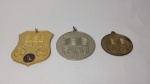 Lote composto de (3) medalhas, polo aquático, FARJ.