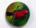 Sergio Spencer - quadro óleo sobre tela 30cm diâmetro , pássaro Sangue de Boi, artista pernambucano especialista em pintar pássaros