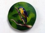 Sergio Spencer - quadro óleo sobre tela 30cm diâmetro , pássaro Caboclinho,da série pássaros do Brasil artista pernambucano