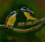 Sergio Spencer - quadro óleo sobre tela 30x30cm casal de Bem Te Vi , com moldura , este artista mestre na pintura de pássaros,  excelente trabalho