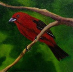 Sergio Spencer - quadro óleo sobre tela 30cm diâmetro , pássaro Sangue de Boi com moldura