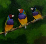 Sergio Spencer - quadro óleo sobre tela 30x30cm trio de pássaros Diamante Gold com moldura, artista mestre na pintura de pássaros
