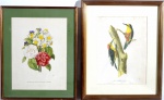 Duas gravuras de pássaros e flores. Medidas com moldura. 55 x 45 e 51 x 41 cm.