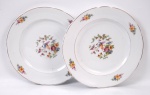 Dois pratos de porcelana Real, fundo branco com flores e pássaro. Diâmetro 24 cm.