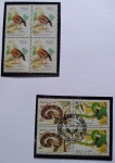 Selos do Brasil, parte de coleção, selos protegidos por Maximaphil de fundo preto. (S126)