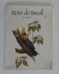 Encarte com  11 gravuras de aves, bicho de Brasil - Med. 42cm x 32cm