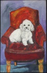 STELLA BIANCO - Poodle branco no sofá vermelho - o.s.e. - 80 x 50 cm - assinado no cid.