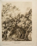 Litografia (Coleção Hansen Bahia) - H. Fragonard Del.  - L" Allée de Platanes (Collection Dutuit) - Imp. A. Porcabeuf - Paris, medindo: 28 cm x 20 cm. Obra sem moldura.