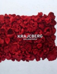 Krajcberg - Uma Homenagem - Capa dura, amplamente ilustrado, 90 páginas em papel couché.