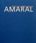 Antonio Henrique Amaral. Livro catálogo da exposição realizada na Pinacoteca do estado São Paulo, um dos principais artistas brasileiros do século XX. Com cerca de 160 trabalhos, sendo 80 telas e 80 obras sobre papel, a obra oferece ao público um panorama da carreira do artista, desde seus primeiros desenhos e gravuras das décadas de 1950 e 1960, passando por uma sucessão de fases em que a pintura se torna central no trabalho do artista. Livro amplamente ilustrado em papel couché, 263 páginas, medidas 28 x 24 cm