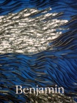 MARCOS COELHO BENJAMIN. Catálogo da exposição realizada em Curitiba, na Galeria de Arte Simões de Assis, realizada de 23 de junho a 11 de Agosto de 2007, obra amplamente ilustrada em 40 páginas, conta também com biografia básica do artista, medidas 29 x 23 cm.