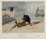 Litogravura séc. XIX - Drawn e Ang by N. Fielding - Pub. July 1853, by R. Ackermann ar his Eclipse Sporting Gallery. 191, Regent ST - plate 4 - Medidas 19 x 22 cm - Armação com Passepartout 34 x 36,5 cm
