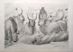 Portinari - Reprodução - medidas 31 x 42 cm