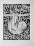 S. Vrair - Gravura em metal - Medidas 23 x 17 cm