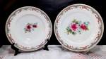 Lote contendo 2 pratos em porcelana decorada por rosas e policromia em suas bordas, sendo 1 raso e 1 fundo. Medem 25 cm e 24 cm respectivamente.