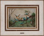 R . Cataldi ( Renato) Pássaros OST. Ass. CID . Med: 0,36 x 0,48 cm