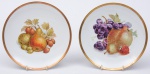Bavaria -Par de pratos em porcelana europeia , decoração de frutas e fio de ouro . Med: 0,19cm.