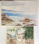 pintura 2 aquarelas s/cartão assinado georgina  medindo 29x42 , 22x31