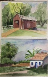 pintura 2 aquarelas s/cartão assinado georgina  medindo 24x32 , 22x30