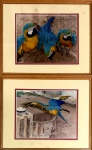 2 fotografias, medindo: 37 cm x 30 cm