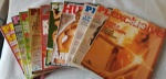 Colecionismo - Revistas Playboy dez exemplares