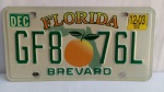 Placa automotiva americana , Florida, Condado de Brevard, conforme fotos; aprox. 30,5 x 15,5cm