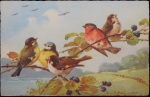 Cartão Postal impresso na Suíça por Stehli, medindo 9 x 14 cm.